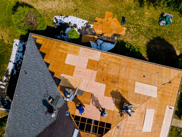 Best Roof Restoration Services  in Viola, IL