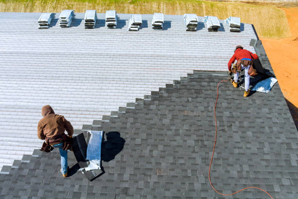 Best Metal Roofing Contractor  in Viola, IL