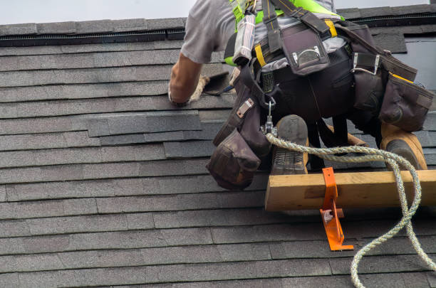 Best Roof Gutter Cleaning  in Viola, IL