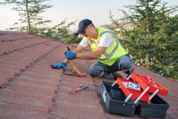 Best Storm Damage Roof Repair  in Viola, IL