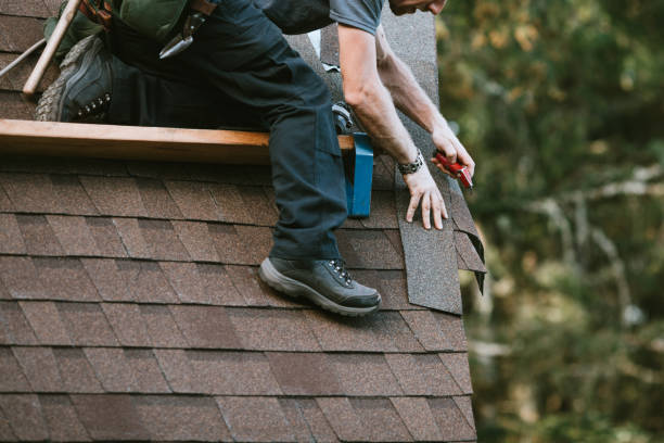 Best Commercial Roof Installation  in Viola, IL